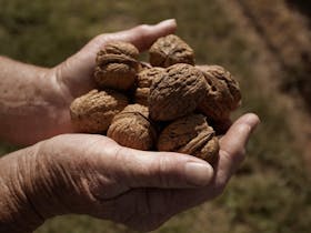 High Country Local Produce