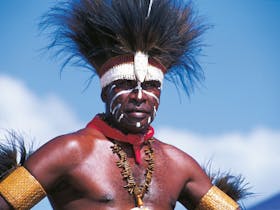 Thursday Island image
