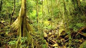 Discovery Tours Australia