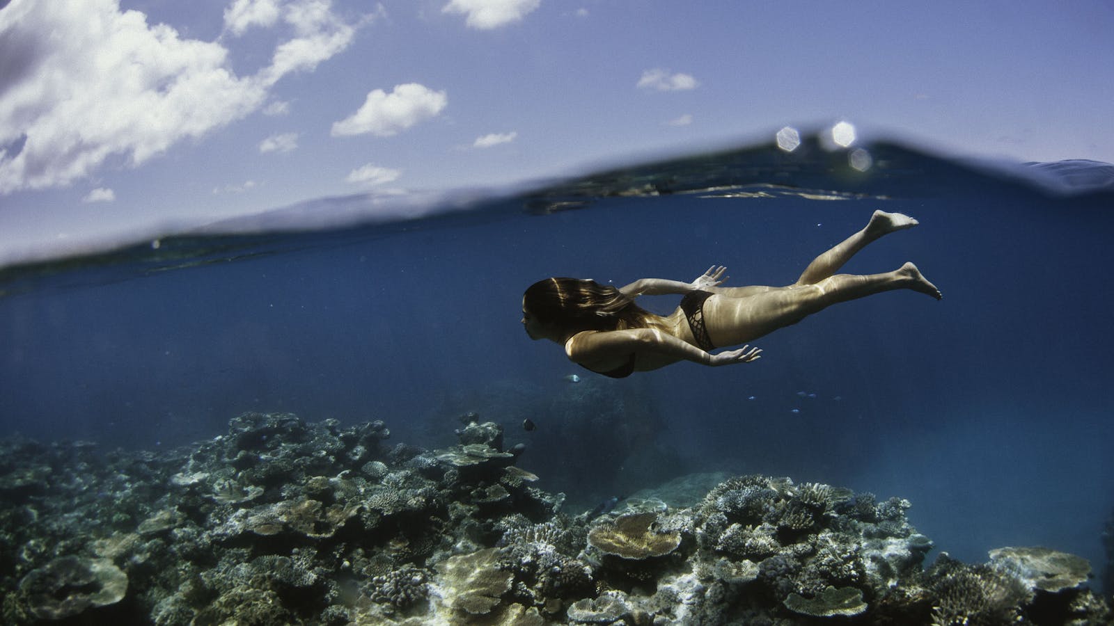 Great Barrier Reef Islands