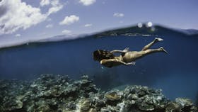 Snorkelling the Great Barrier Reef off Cairns