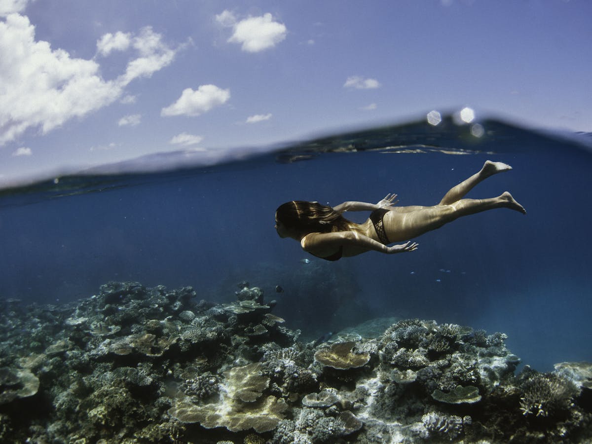 Snorkelling the Great Barrier Reef off Cairns
