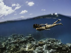 Great Barrier Reef Islands