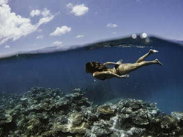 Snorkelling the Great Barrier Reef off Cairns