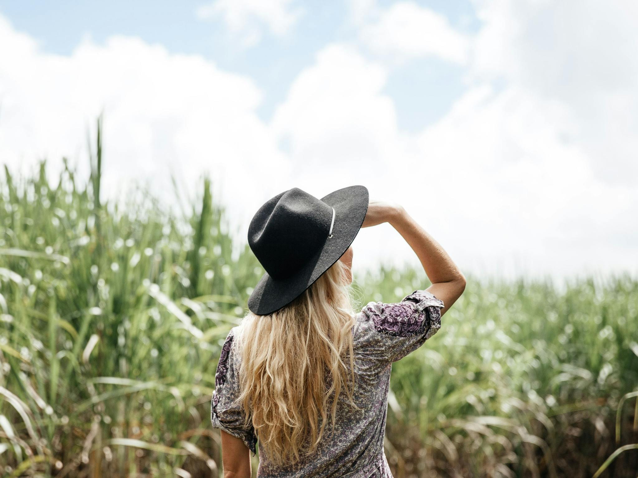 Looking out over sugar cane fields in Innisfail