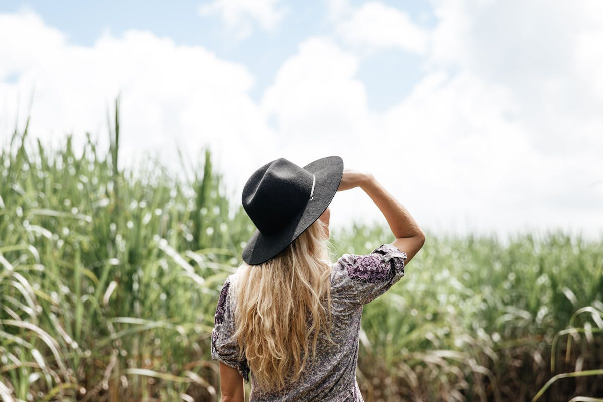 Looking out over sugar cane fields in Innisfail