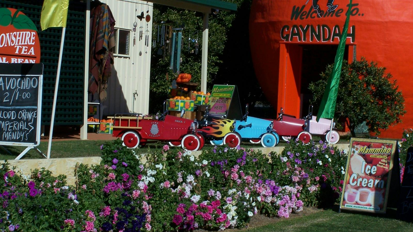 Ultimate Bundaberg North Burnett Experience