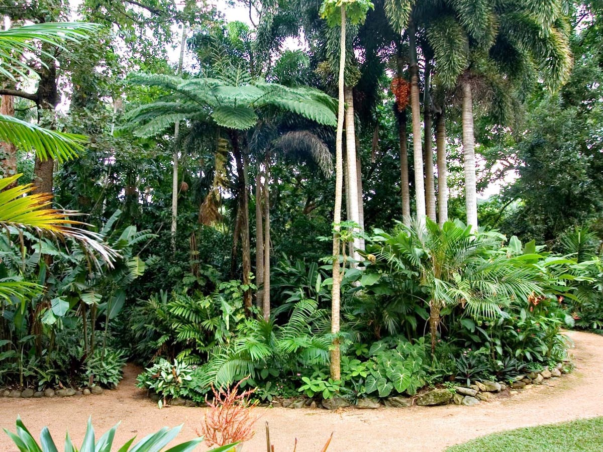 Cairns Botanical Gardens Edge Hill 
