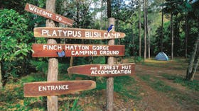 Finch Hatton Gorge