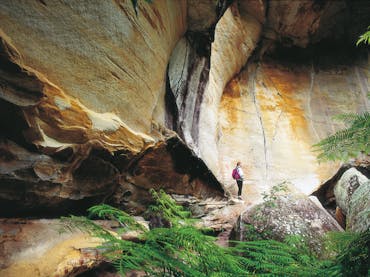 Person standing near sandstone cliff face in Cania Gorge National Park