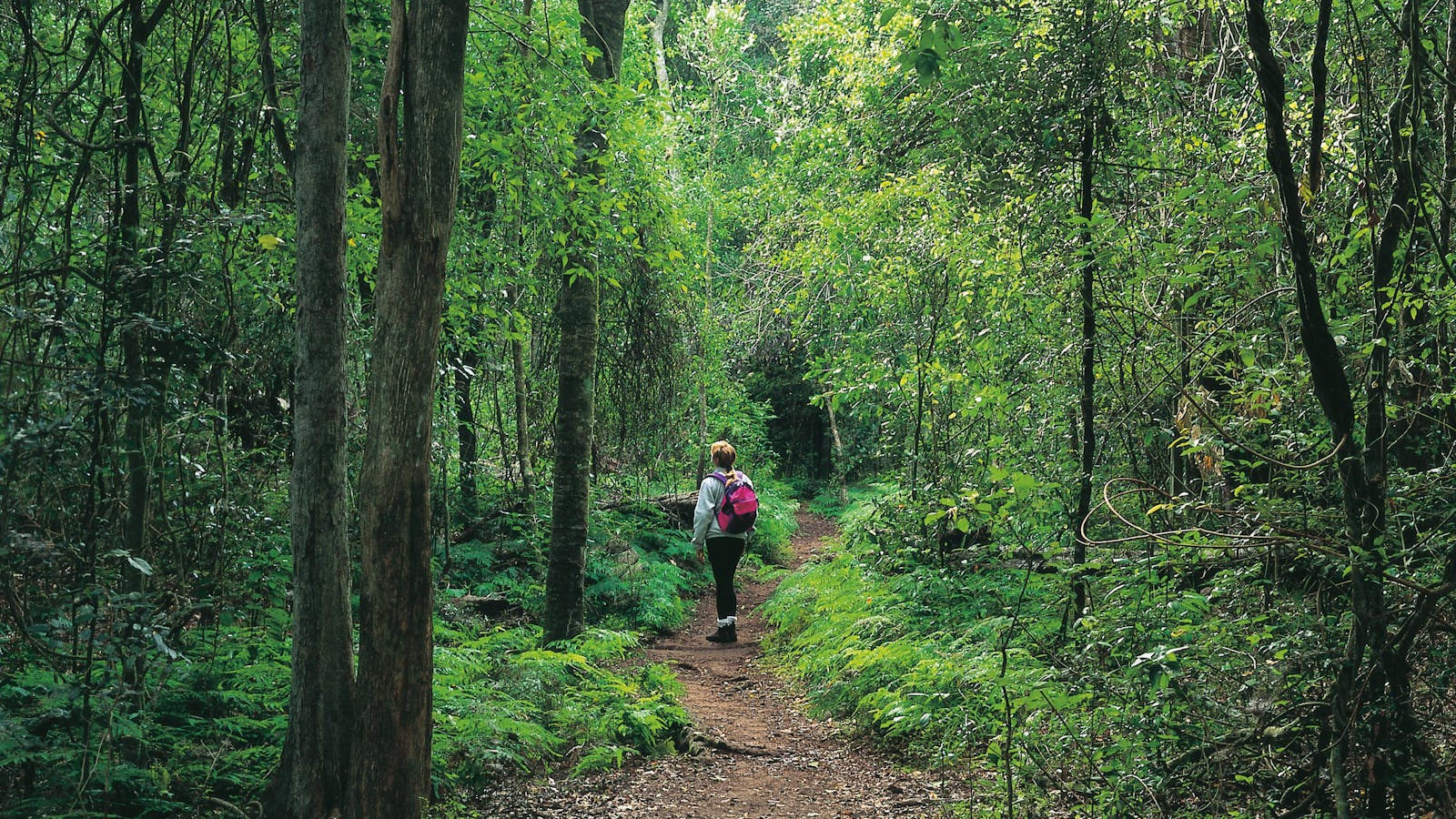 Cania Gorge National Park
