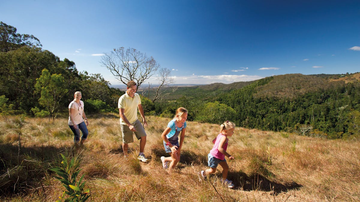 Grassy patch surrounded by forest, Bunya Mountains National Park