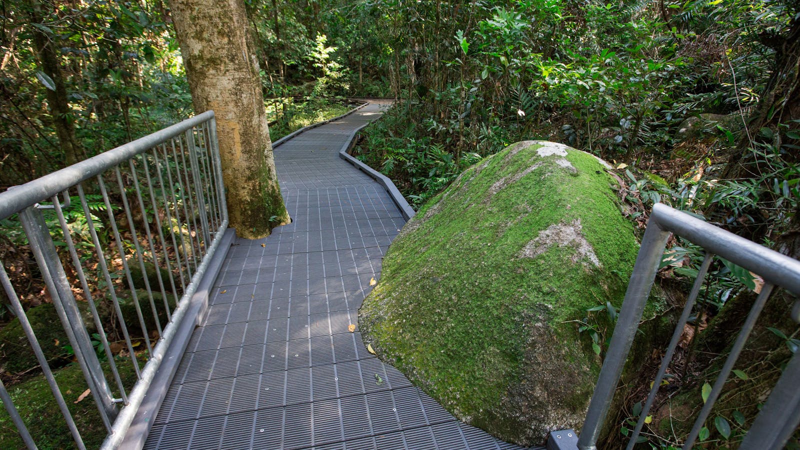 Josephine Falls walking track, Wooroonooran National Park