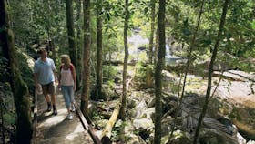 Pioneer Valley and Eungella National Park