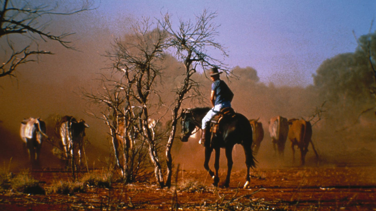 The Heritage and Mining Trail