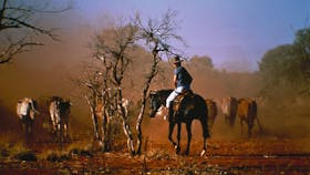 The Mining Trail