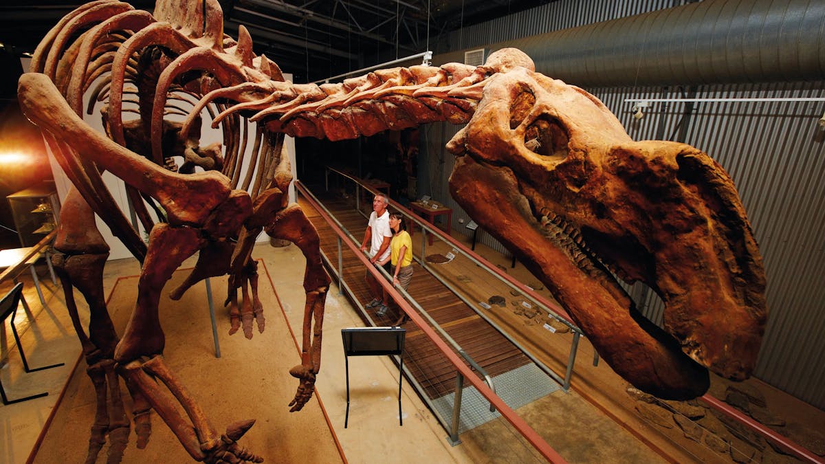 Flinders Discovery Centre