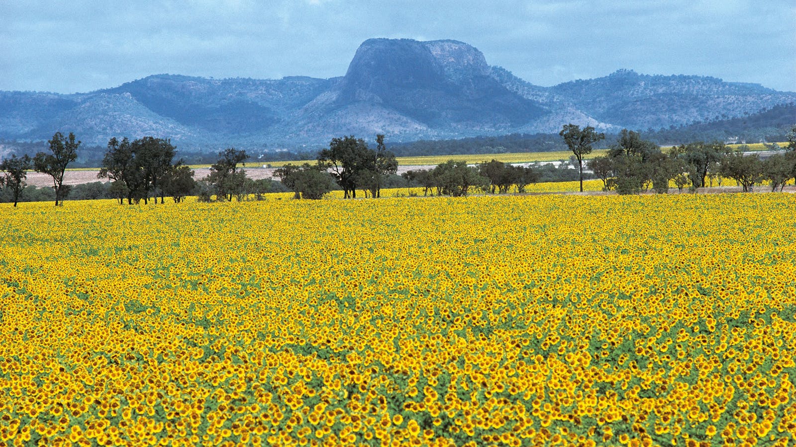 Central Queensland Outback Drive