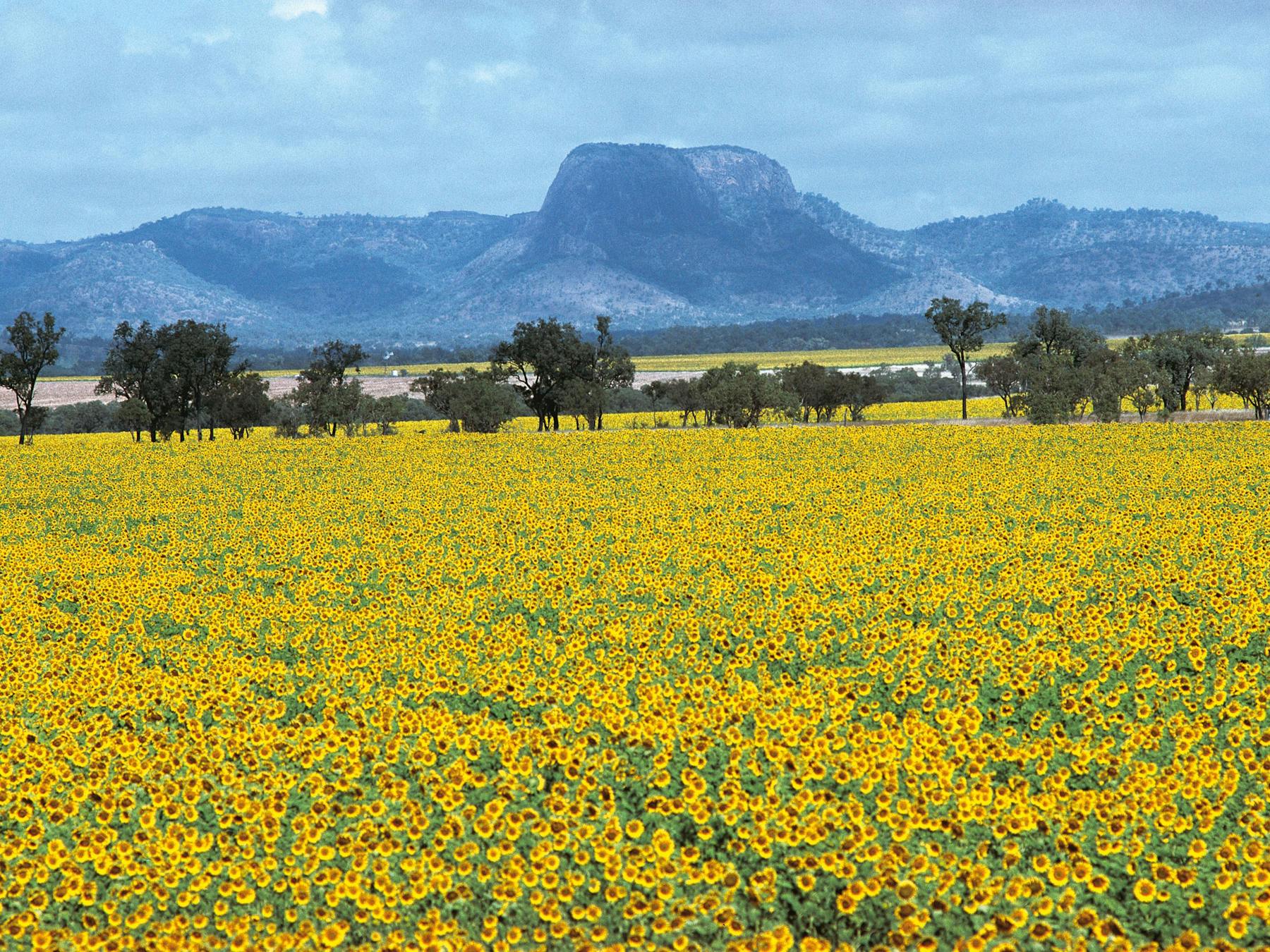 Central Queensland Outback Drive