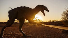 Ancient Outback: Mount Isa to Mount Isa Circuit