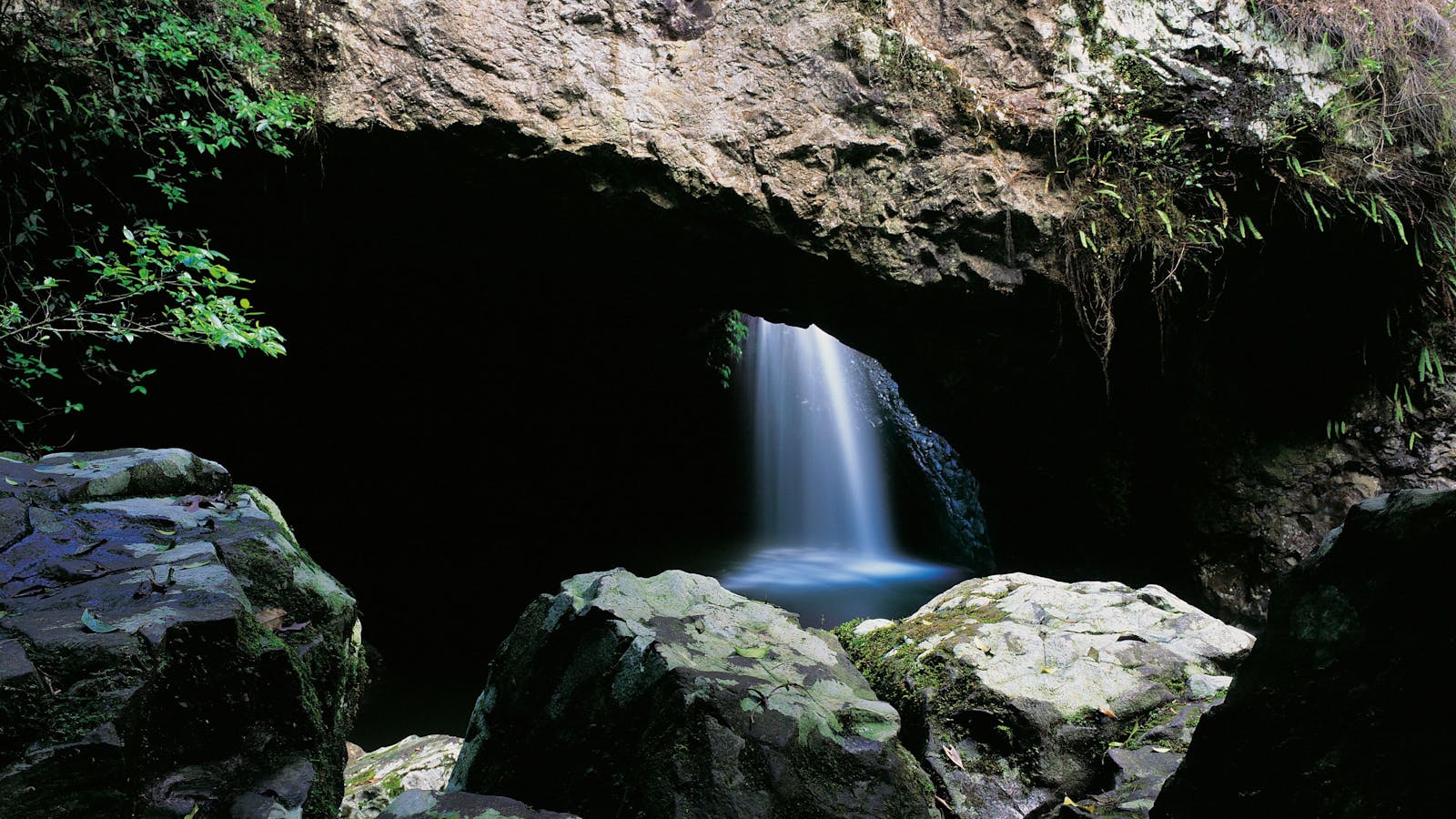 Natural Bridge Circuit, Springbrook National Park