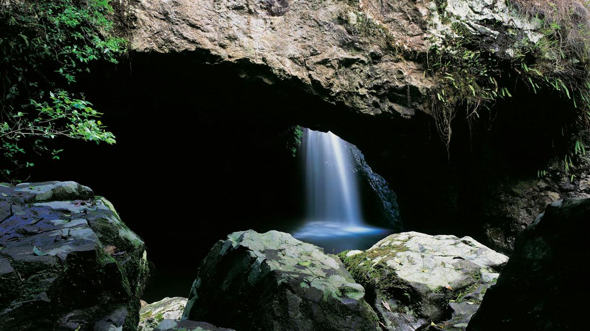 Natural Bridge Circuit Springbrook National Park | Journeys | Queensland