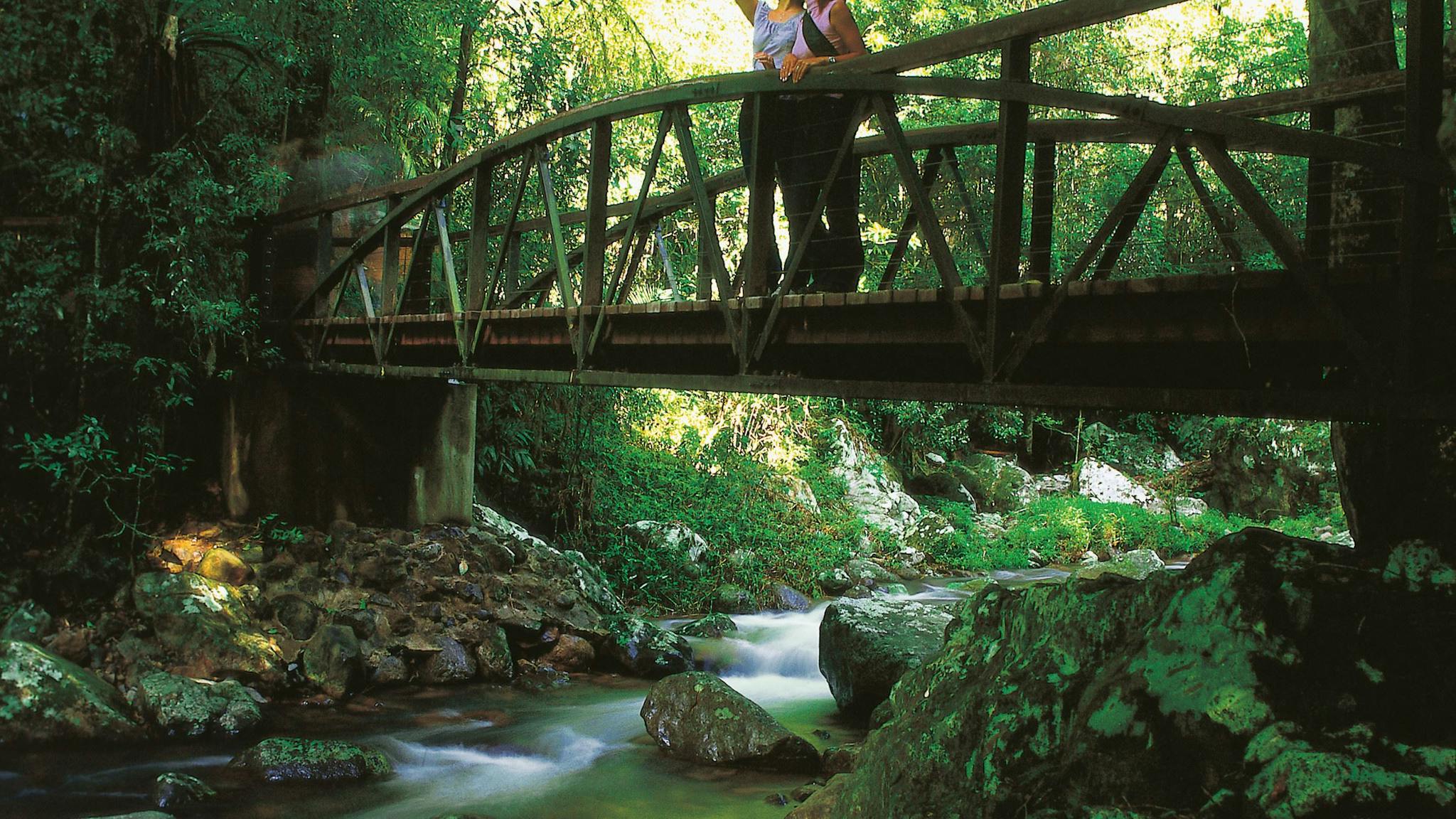 Natural Bridge Circuit, Springbrook National Park in Springbrook - The ...