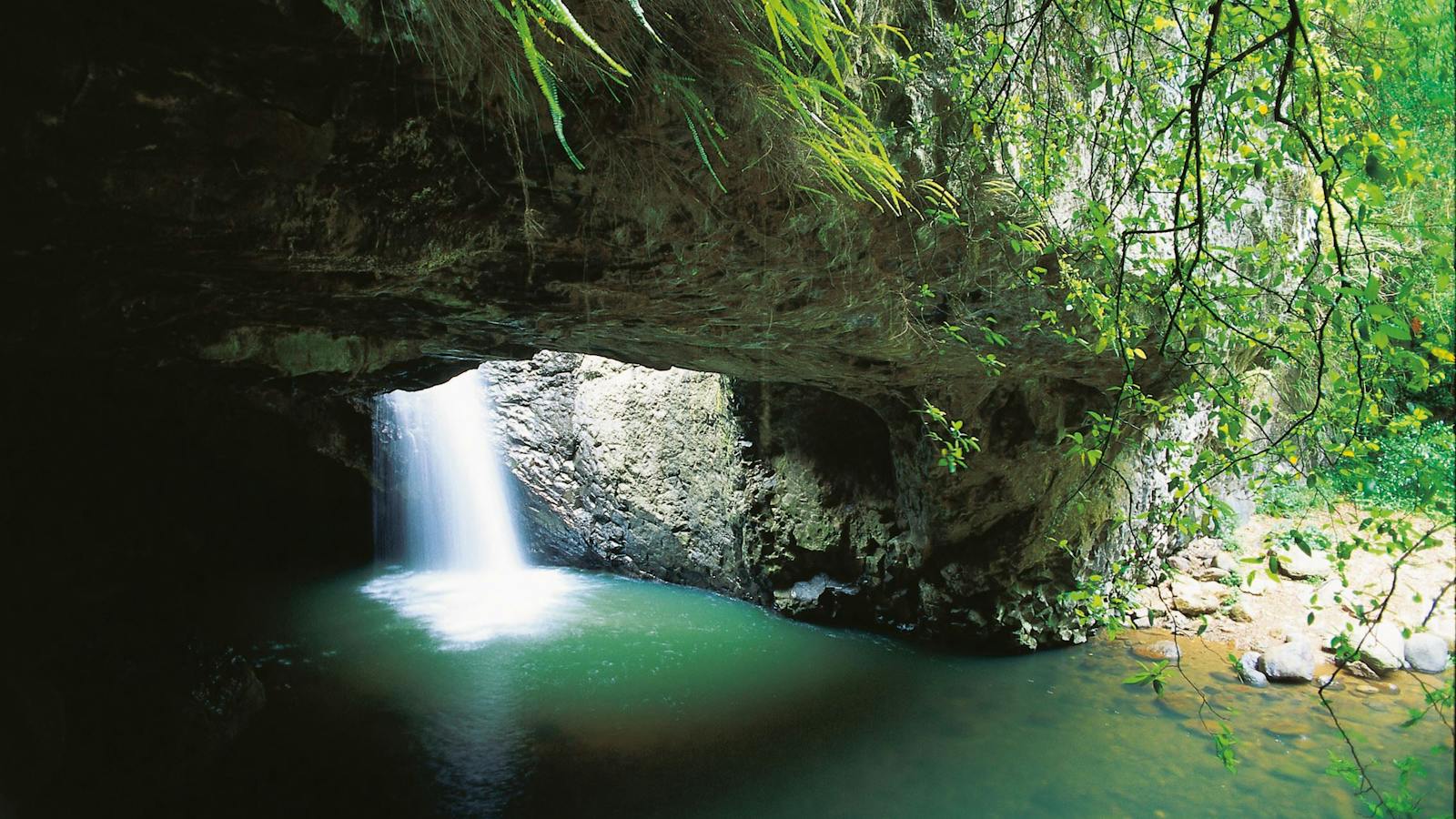 Cave and waterfall at Natural Bridge Circuit, Springbrook National Park