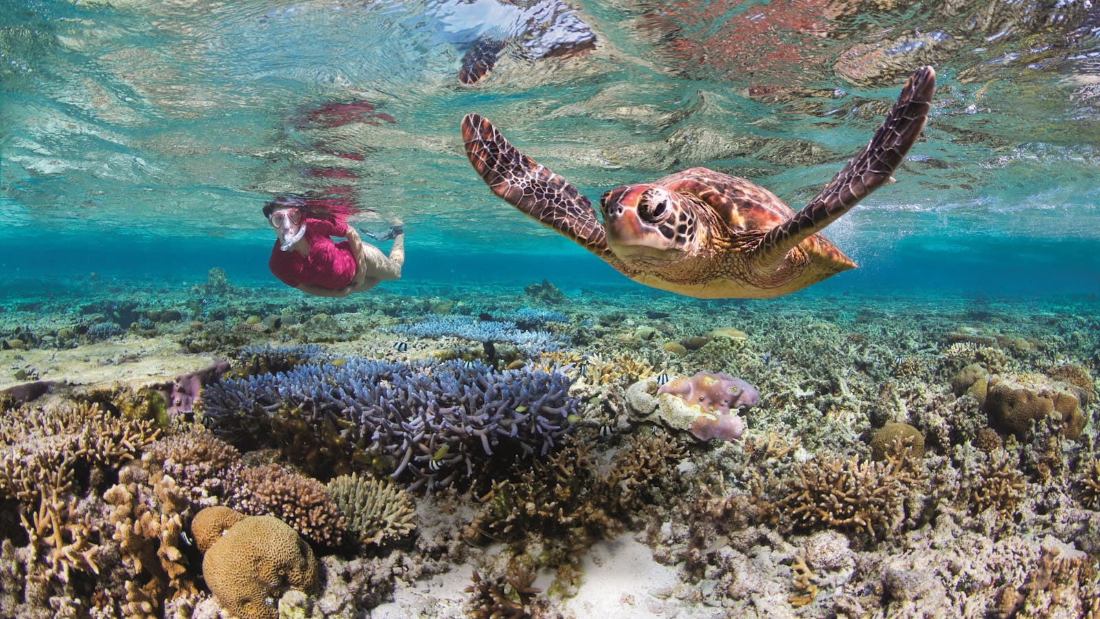 Ultimate Bundaberg North Burnett Experience