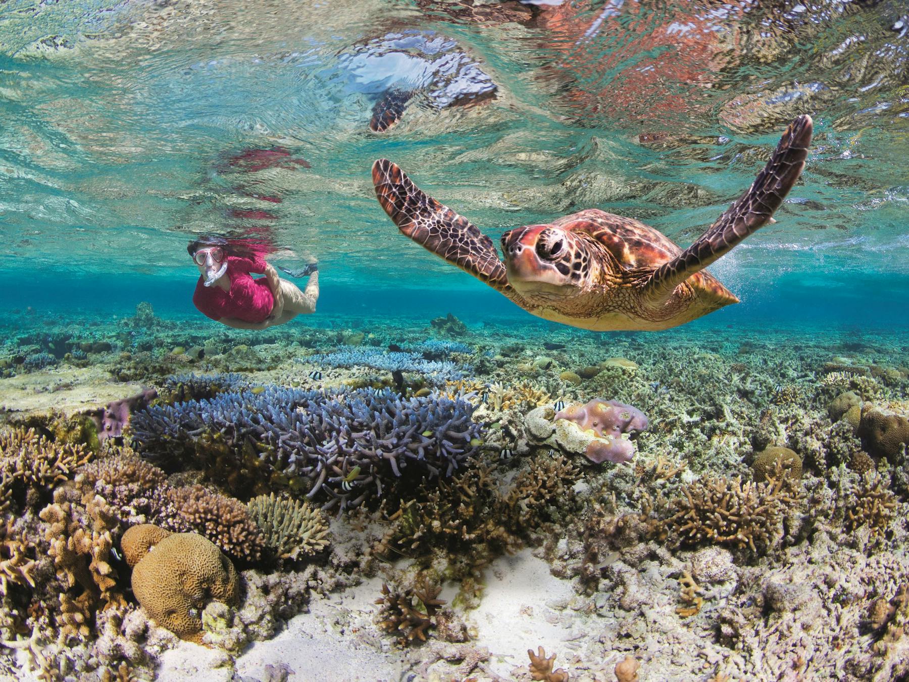 Ultimate Bundaberg North Burnett Experience