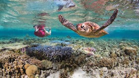 Ultimate Bundaberg North Burnett Experience