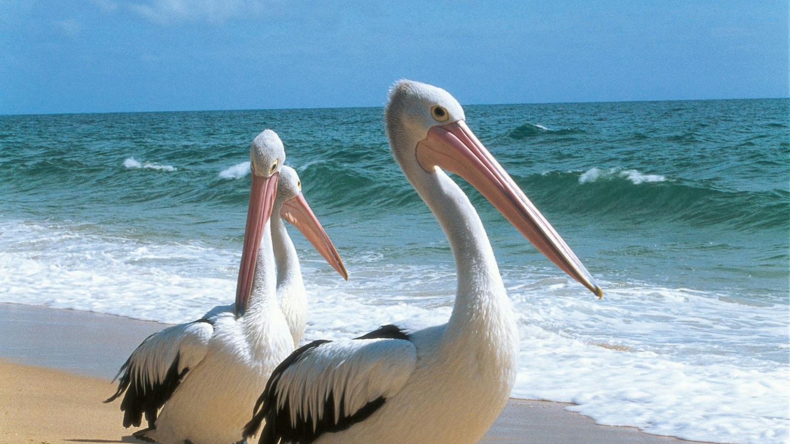 Ultimate Bundaberg North Burnett Experience