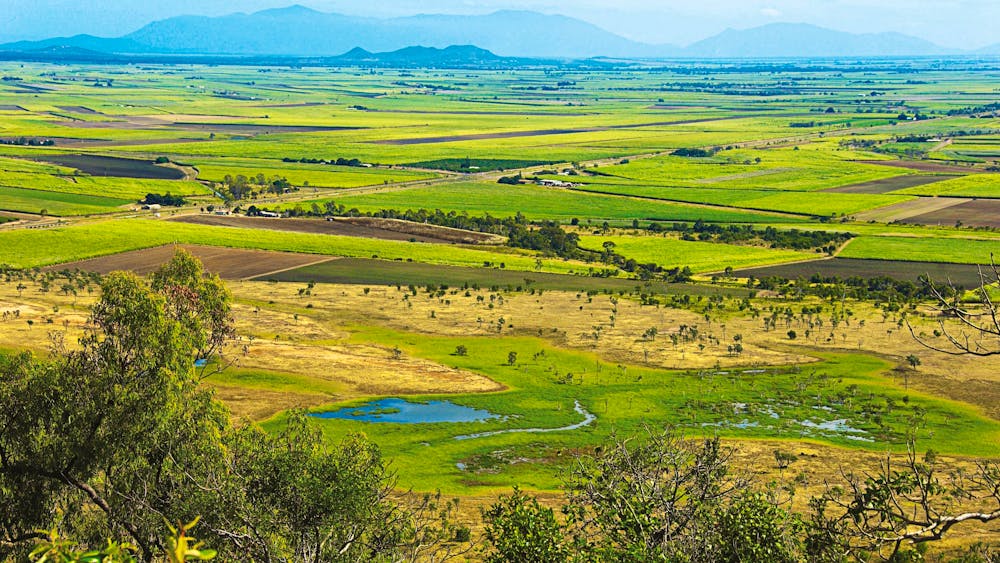 Burdekin