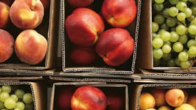 Southern Food Trail