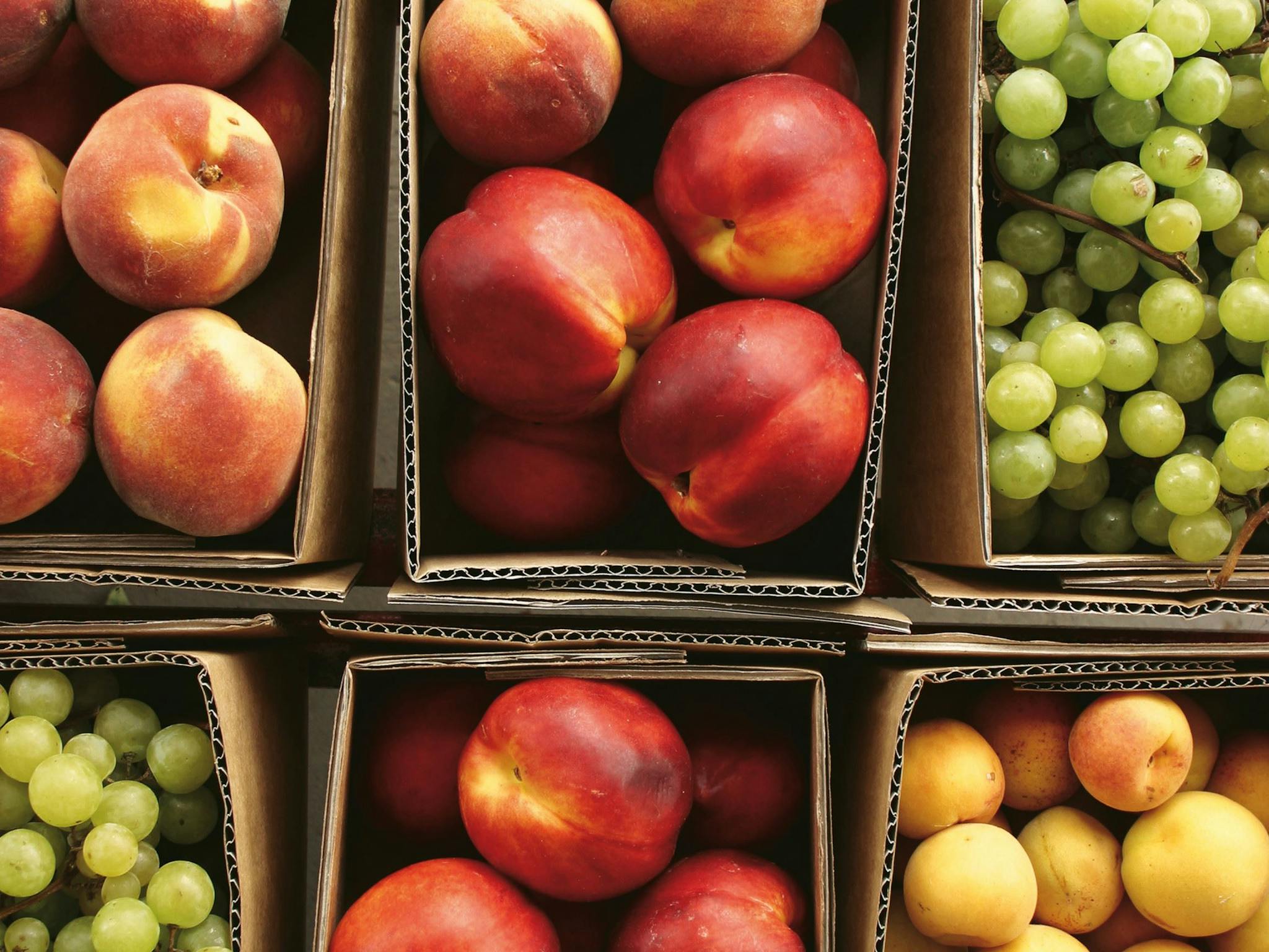 Southern Food Trail