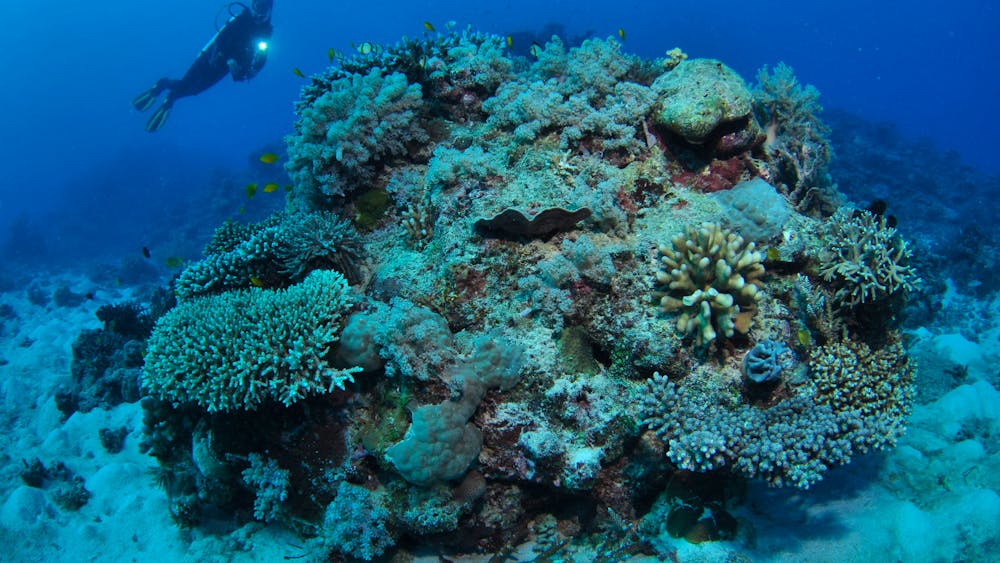 Keeper Reef Dive Site