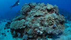 Keeper Reef Dive Site