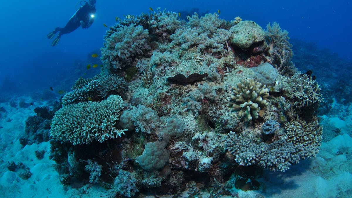 Keeper Reef