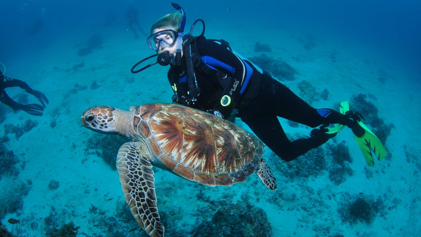 Second Reef Dive Site