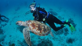 Second Reef Dive Site