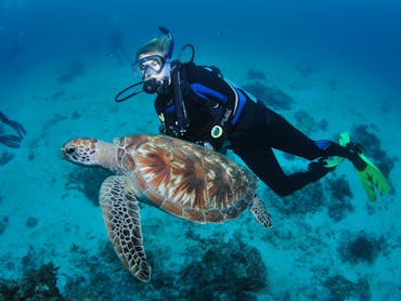 Second Reef