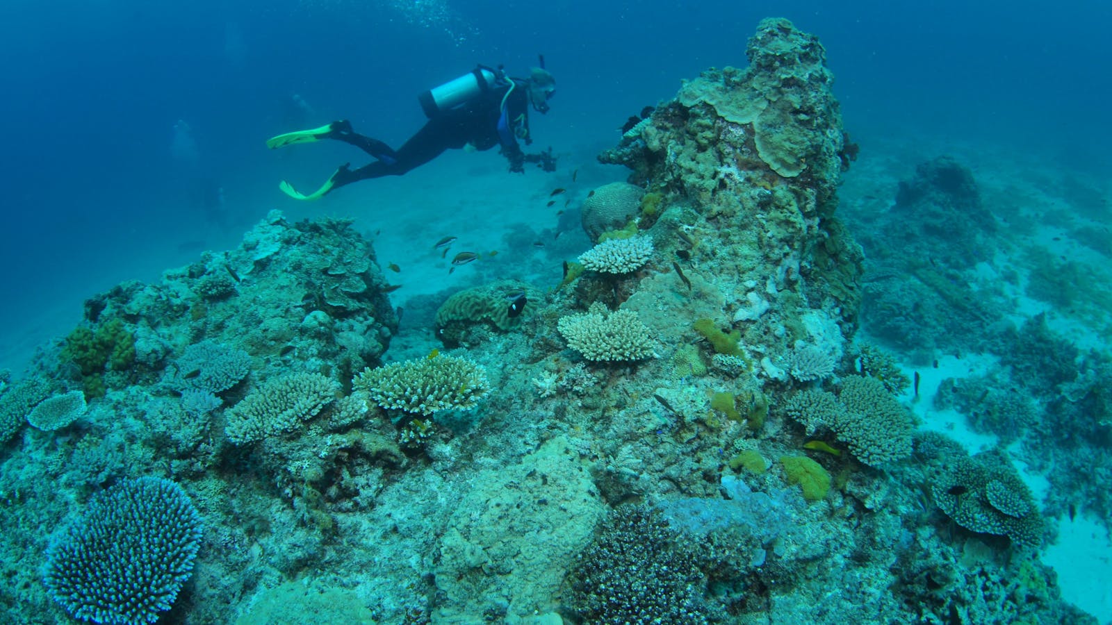 Second Reef Dive Site
