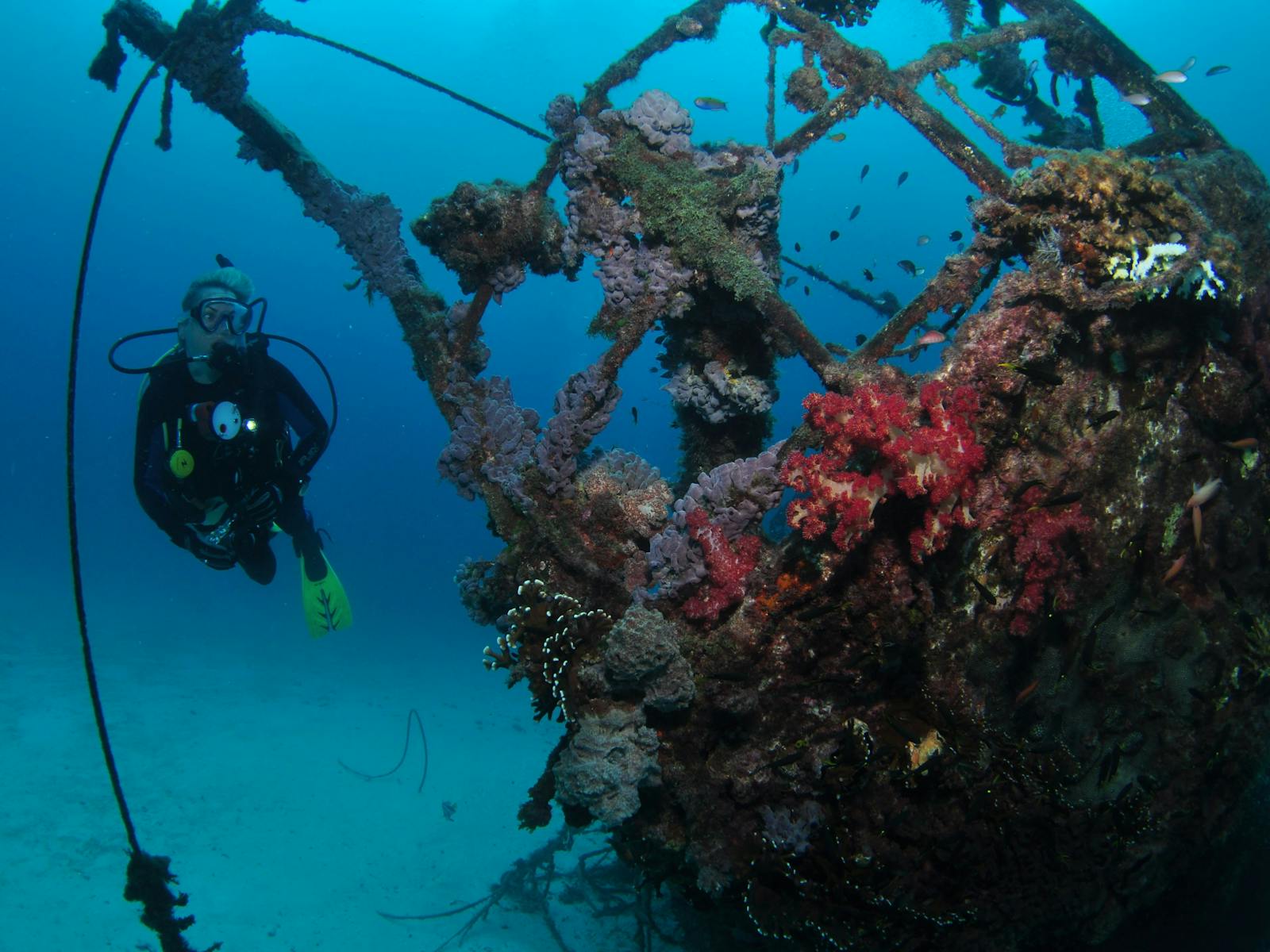 Severance Shipwreck Dive Site