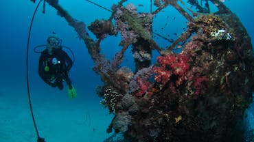 Severance Shipwreck