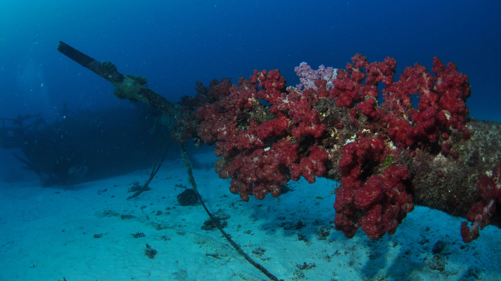 Severance Shipwreck Dive Site