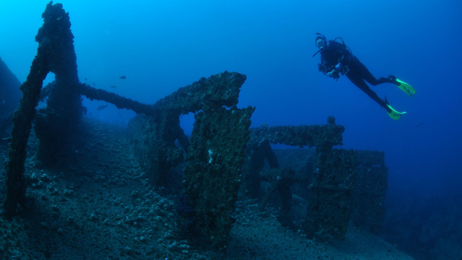 Cementco Dive Site