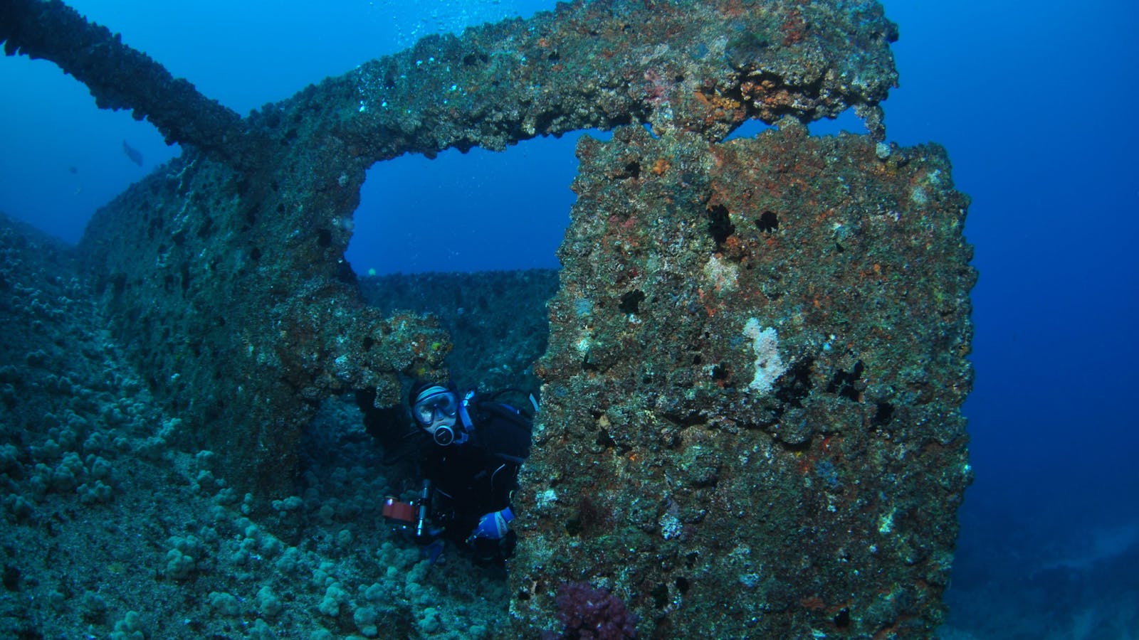 Cementco Dive Site