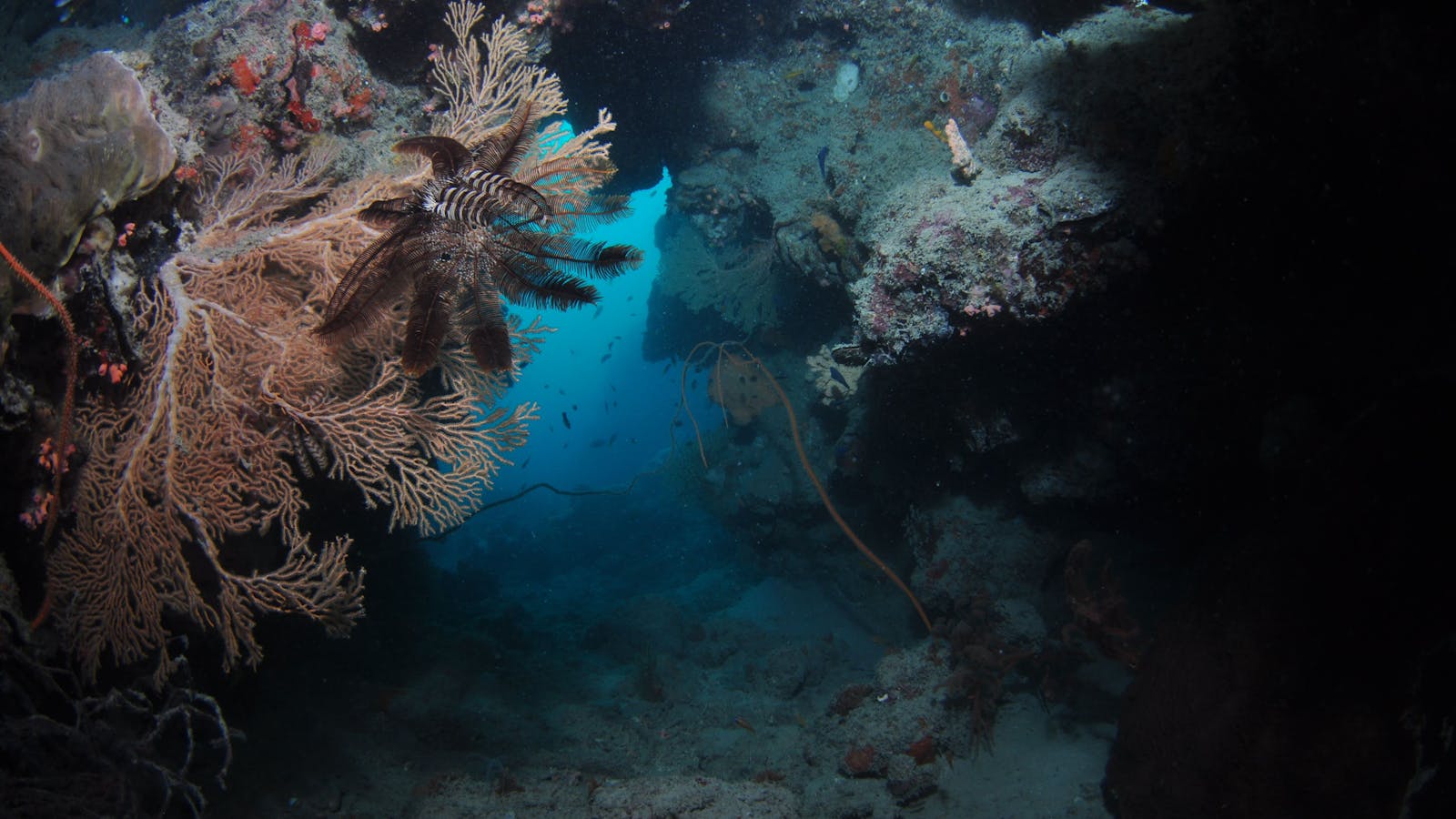 Luncheon Bay