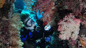 Cod Hole Dive Site