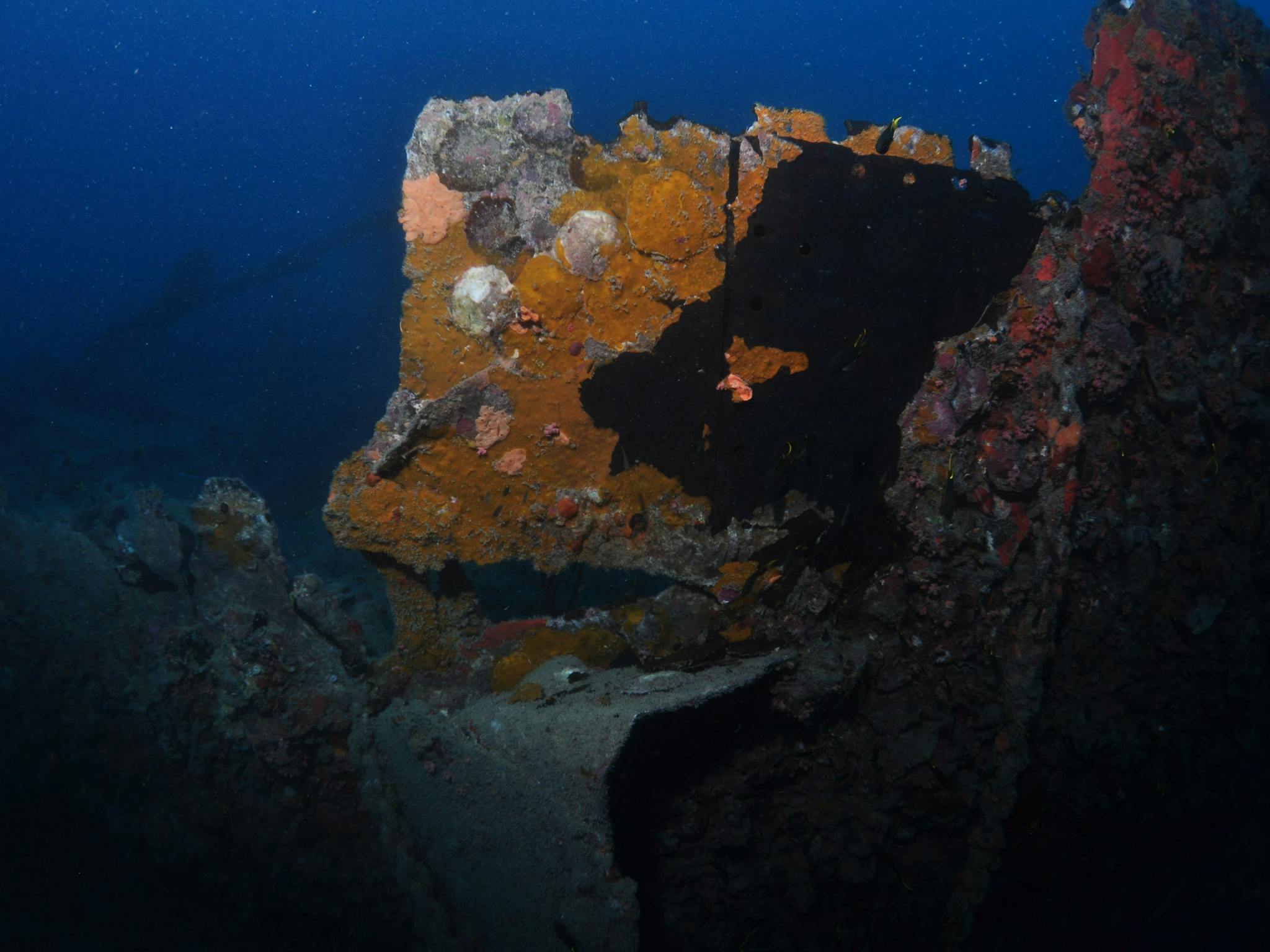 Lady Bowen Dive Site